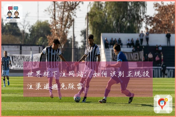 世界杯下注网站：如何识别正规投注渠道避免踩雷