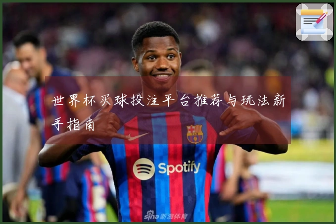 世界杯买球投注平台推荐与玩法新手指南