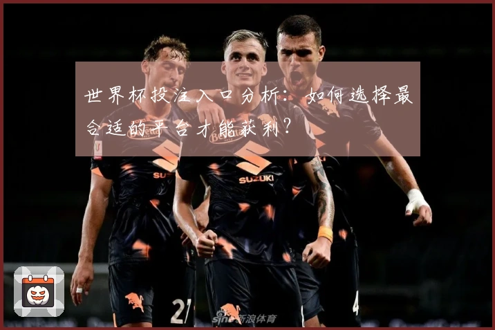 世界杯投注入口分析：如何选择最合适的平台才能获利？
