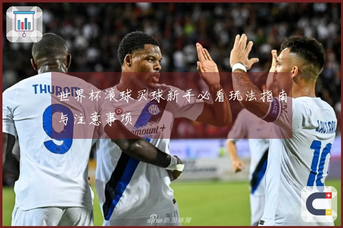 世界杯滚球买球新手必看玩法指南与注意事项