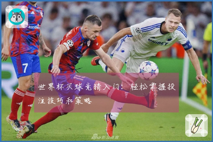 世界杯买球竞猜入门：轻松掌握投注技巧和策略