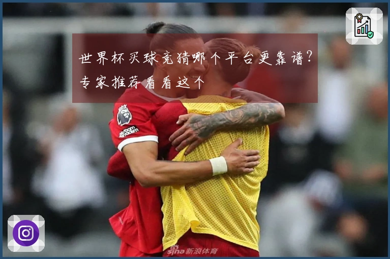 世界杯买球竞猜哪个平台更靠谱？专家推荐看看这个