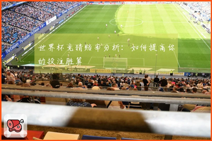 世界杯竞猜赔率分析：如何提高你的投注胜算