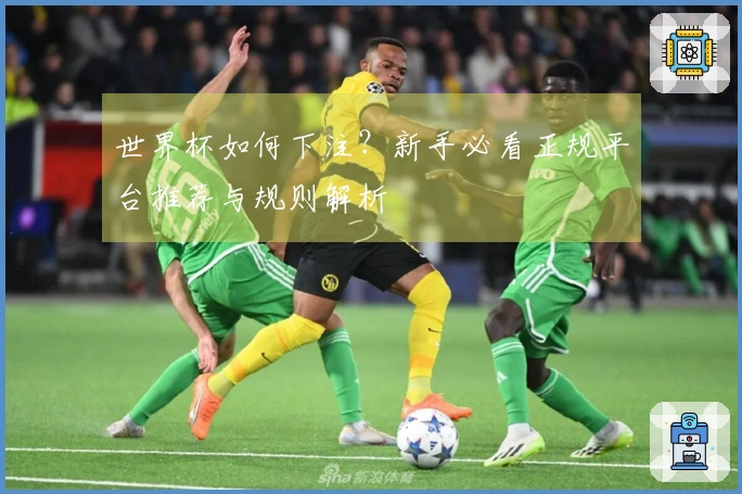 世界杯如何下注？新手必看正规平台推荐与规则解析