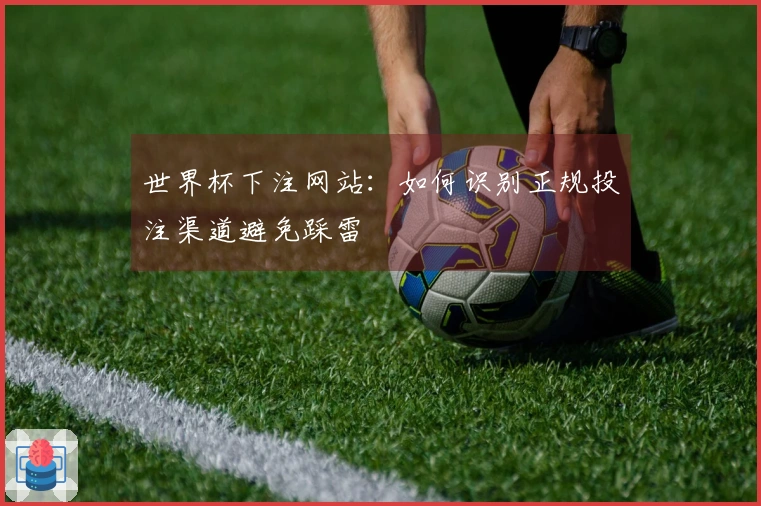 世界杯下注网站：如何识别正规投注渠道避免踩雷