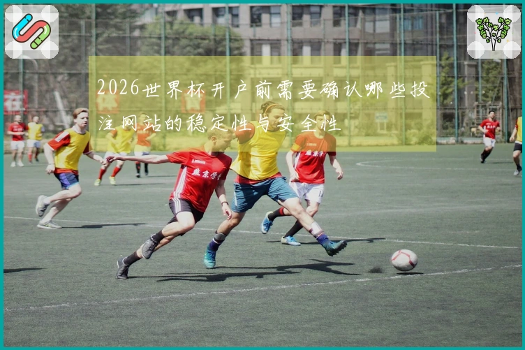 2026世界杯开户前需要确认哪些投注网站的稳定性与安全性
