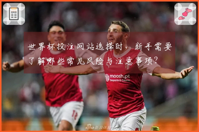 世界杯投注网站选择时，新手需要了解哪些常见风险与注意事项？