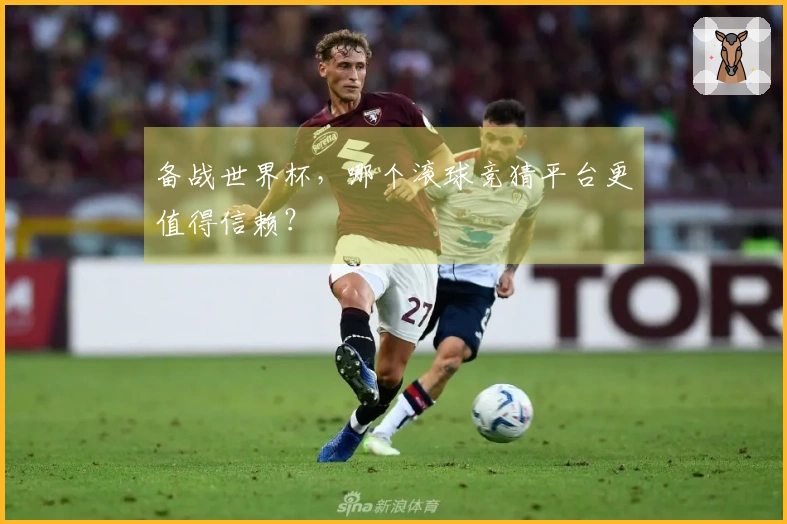 备战世界杯，哪个滚球竞猜平台更值得信赖？
