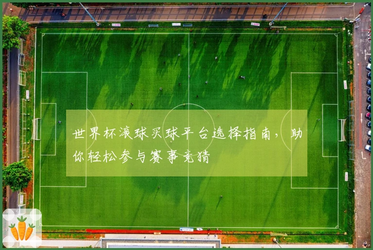 世界杯滚球买球平台选择指南，助你轻松参与赛事竞猜