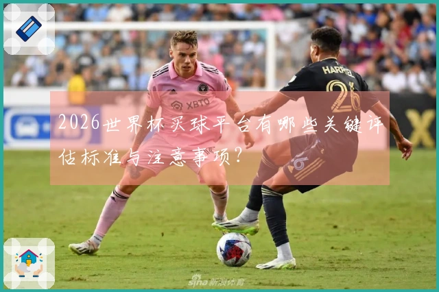 2026世界杯买球平台有哪些关键评估标准与注意事项？