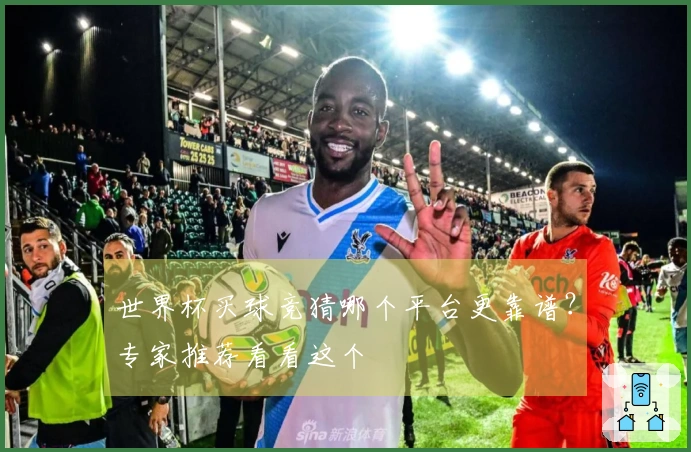 世界杯买球竞猜哪个平台更靠谱？专家推荐看看这个