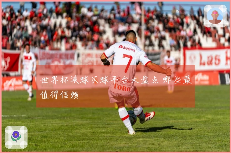 世界杯滚球买球平台大盘点 哪些最值得信赖