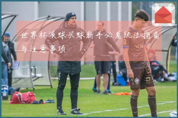 世界杯滚球买球新手必看玩法指南与注意事项