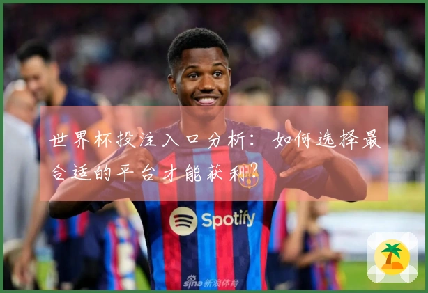 世界杯投注入口分析：如何选择最合适的平台才能获利？