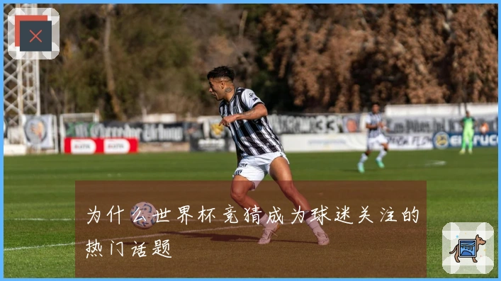 为什么世界杯竞猜成为球迷关注的热门话题