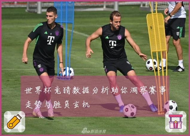世界杯竞猜数据分析助你洞察赛事走势与胜负玄机